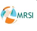 mrsi2 (2)